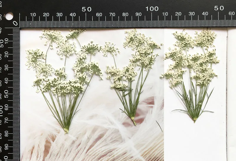 5-7Cm/12 Buah, Salju Bunga Kec - Craft Embellishment ulasan dan harga
