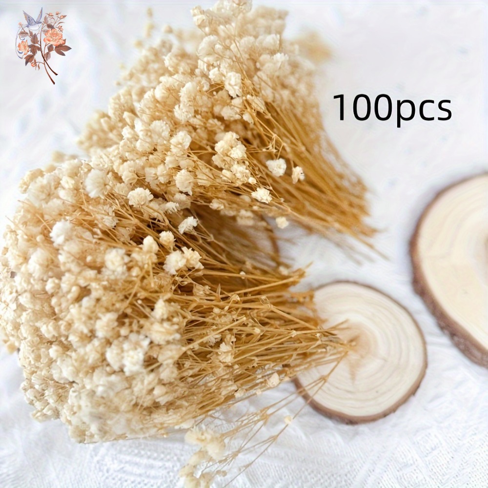 100pcs Bunga Baby's Breath Ker - Embellish Craft ulasan dan harga
