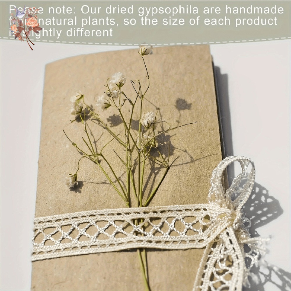 100pcs Bunga Baby's Breath Ker - Embellish Craft ulasan dan harga